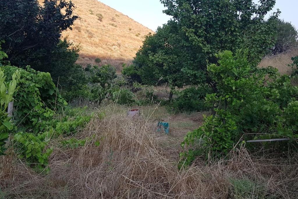 Κυθνος Δρυοπίδα, Στούντιο Χατζής Vila Dhriopís Exterior foto
